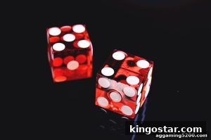 AG真人 kingostar